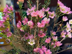 -满堂匠心川宴·私房菜(天府三街店)