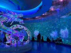 -海合安青岛极地海洋公园