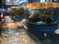 水产区-谊荣海鲜大牌档(石湖店)