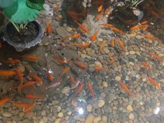 -苏浙徽·江南荟·本味融合菜(相城方圆里店)