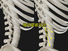 -Dr.stretch·拉伸博士(环球金融中心店)