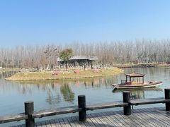 -合肥滨湖国家森林公园