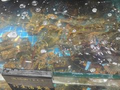 -渔码头食府(蓬莱阁店)