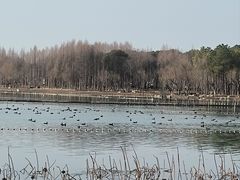 -蠡湖大桥公园
