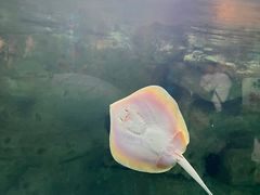 -珠海长隆海洋王国