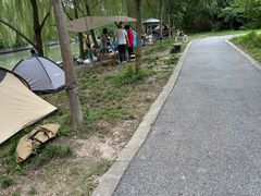 -广富林郊野公园