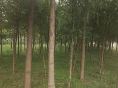 -嘉北郊野公园