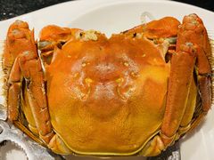 -新花城蟹粉馆(乌鲁木齐店)