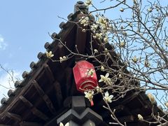 -碑林公园