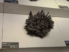 -河南自然博物馆