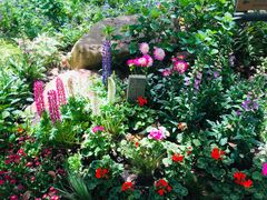 -上海共青森林公园