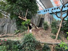 -河川生态园