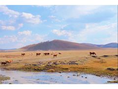 -塞罕坝国家级自然保护区