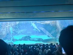 -海合安成都极地海洋公园