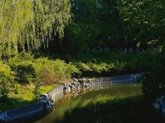 -大兴滨河森林公园