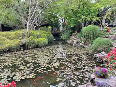 -上海醉白池公园