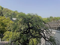 -宁波市保国寺古建筑博物馆