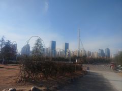 -合肥滨湖国家森林公园