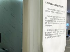 -知心鸟·注意力多动·情绪冲动·感统失调发育迟缓(五角场万达广场店)