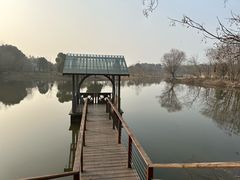 -东平国家森林公园