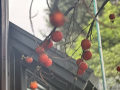 -老房子金沙元年川菜食府·花园餐厅(金沙店)