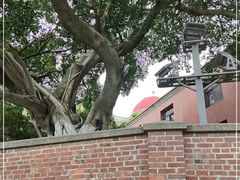 -鼓浪屿钢琴博物馆