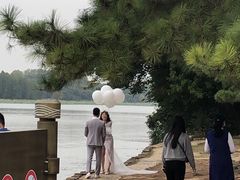 -东湖落雁景区