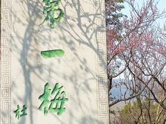 -梅花山(明孝陵内)