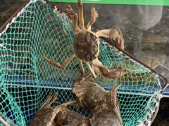 -阳澄湖大闸蟹·琼灵阁牌品牌连锁(吴中总店)