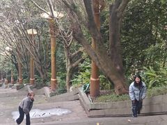 -三峡梯城