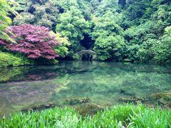 iphone_upload_pic-九溪烟树