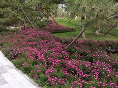 -回龙观体育文化公园