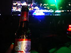 -重庆市江北嘴中央商务区中央公园