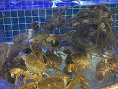 -黄记大闸蟹专卖店·活蟹·醉蟹