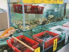 水产区-寻味顺德·南记酒家·传统顺德菜·鱼生(广源路店)