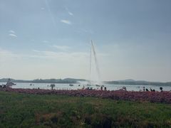 -蠡湖大桥公园