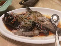 油泼深海清斑鱼-新希望诺富特酒店-青岛湾中餐厅
