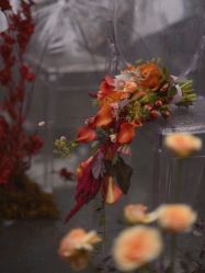 点击看大图 -琥珀婚礼策划AMBER WEDDING