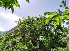 -萝卜寨羌文化生态旅游区