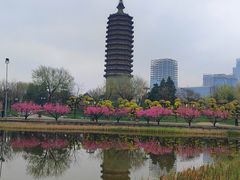 -西海子公园