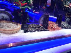 -加餐海鲜自助(宝龙一城店)