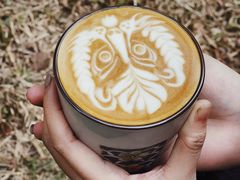 -喜柿咖啡SeeS coffee