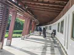 -蠡湖大桥公园