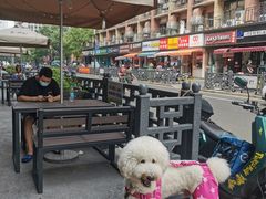 -陶记正宗德州扒鸡(科巷店)