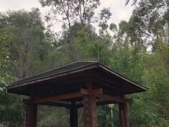 -广东花都湖国家湿地公园