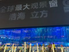 -成都浩海立方海洋公园