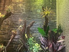 -泰适SPA馆丨精油·按摩·足道(后海地铁口店)
