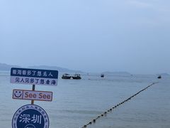 -杨梅坑