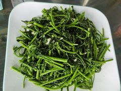 -连理枝渔家乐