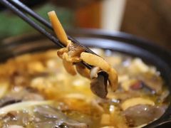 -马帮菜馆·美味野生菌